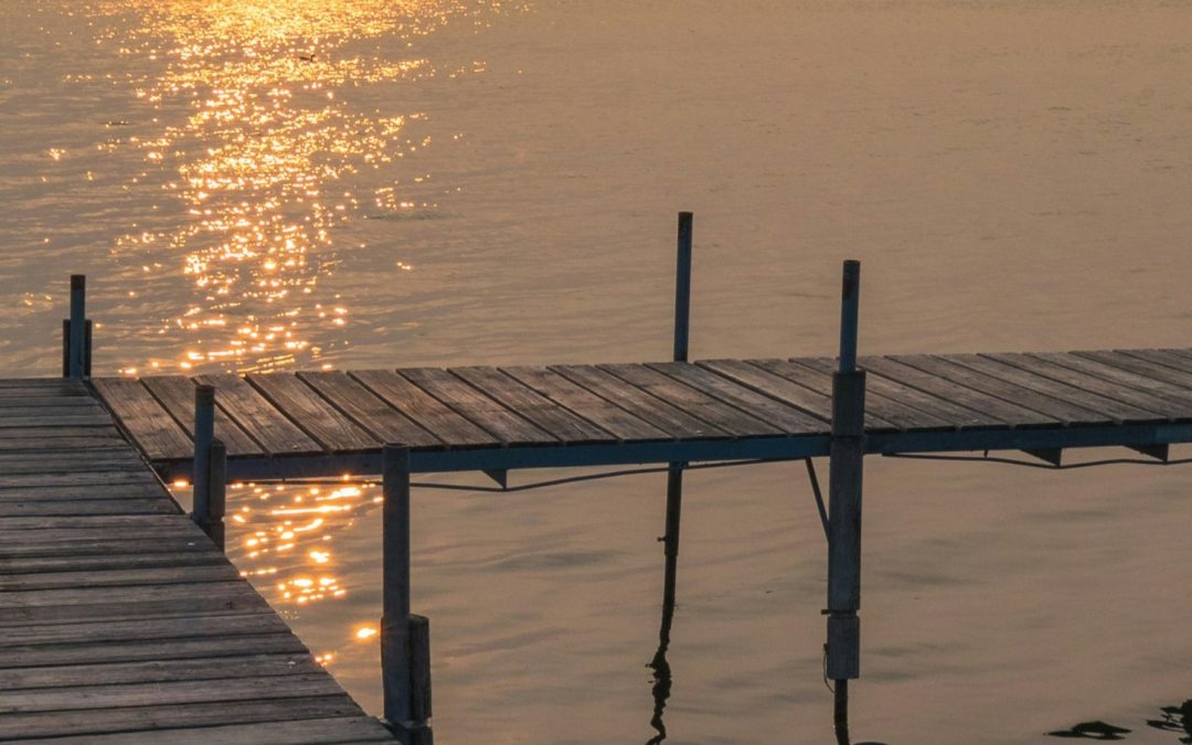 Fall 2025  –  The Air We Breathe: Why Wildfire Smoke Is Everyone’s Problem Now